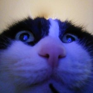 Meet your Posher, Meaghan